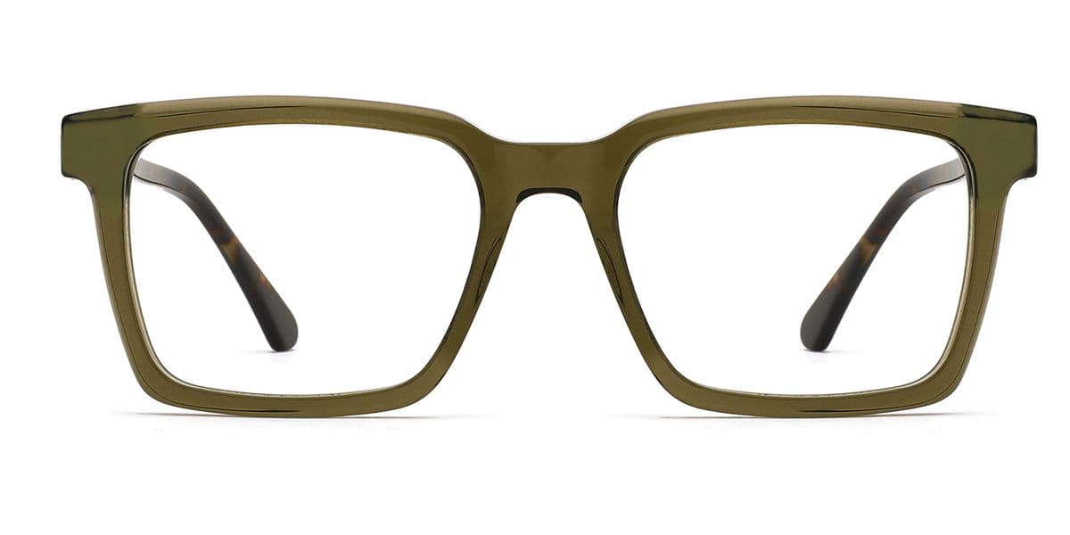 Green-Tortoise