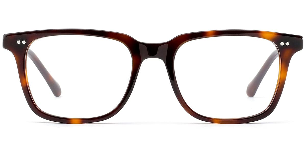 Ovation - Tortoise