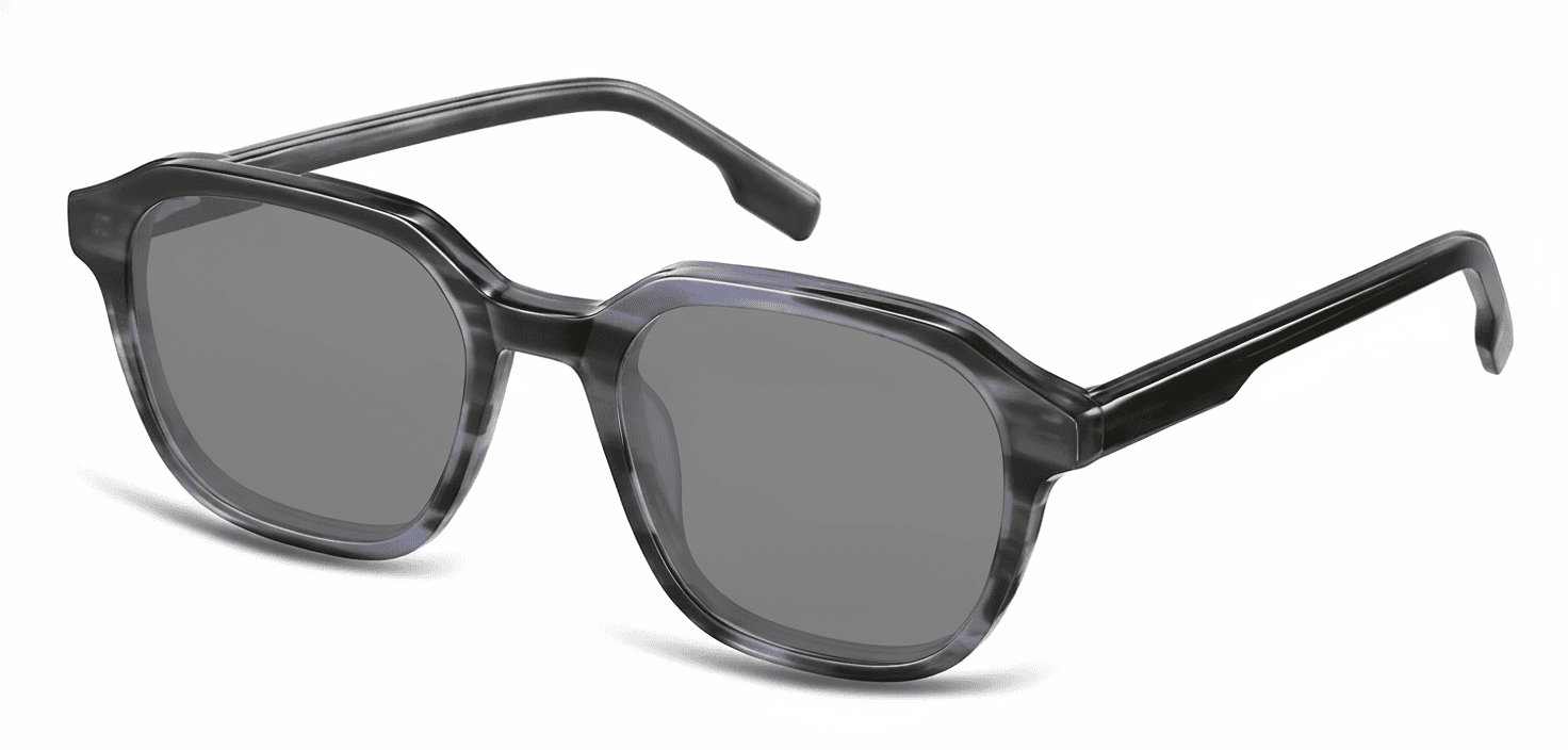 Grey-Tortoise
