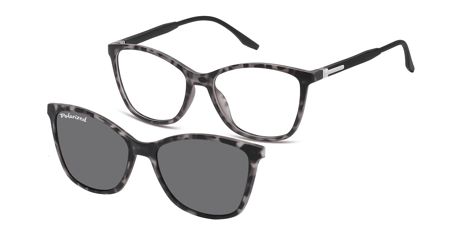 Grey-Tortoise