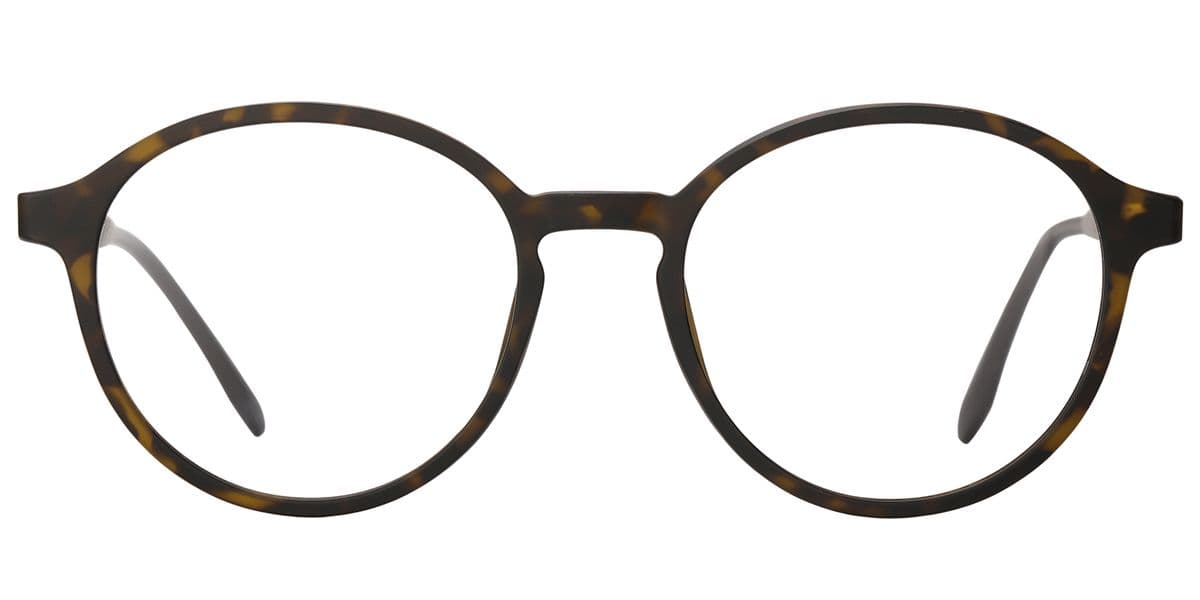 Frame front view