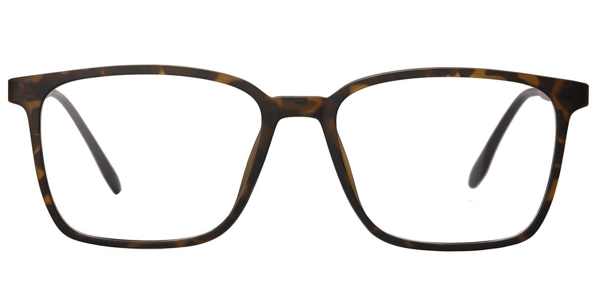Frame front view