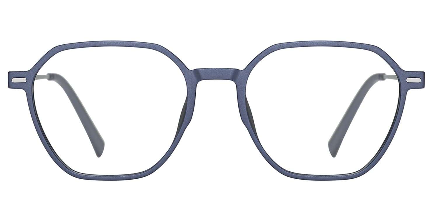 Frame front view