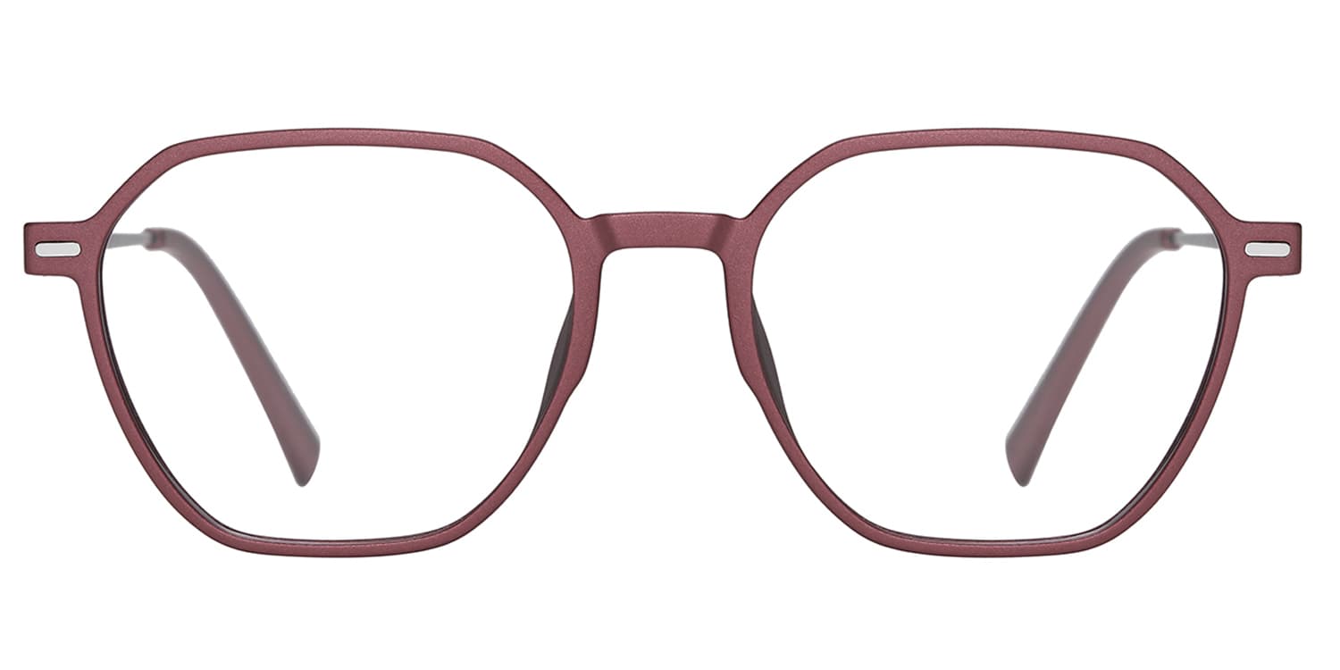 Frame front view