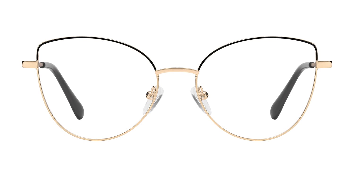 Frame front view