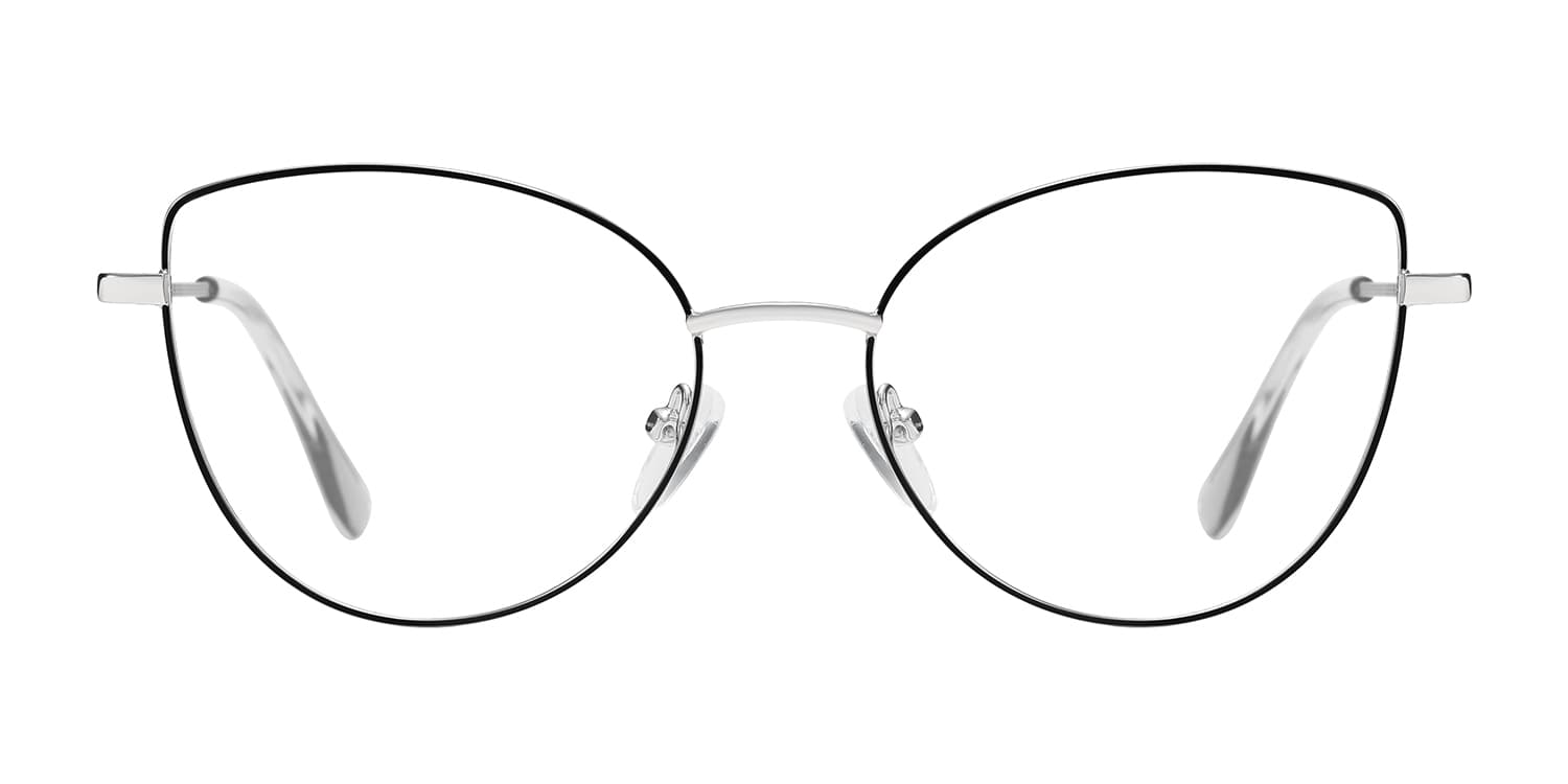 Frame front view
