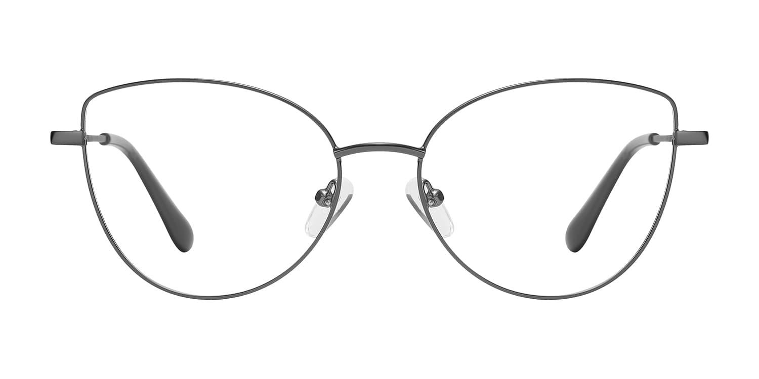 Frame front view