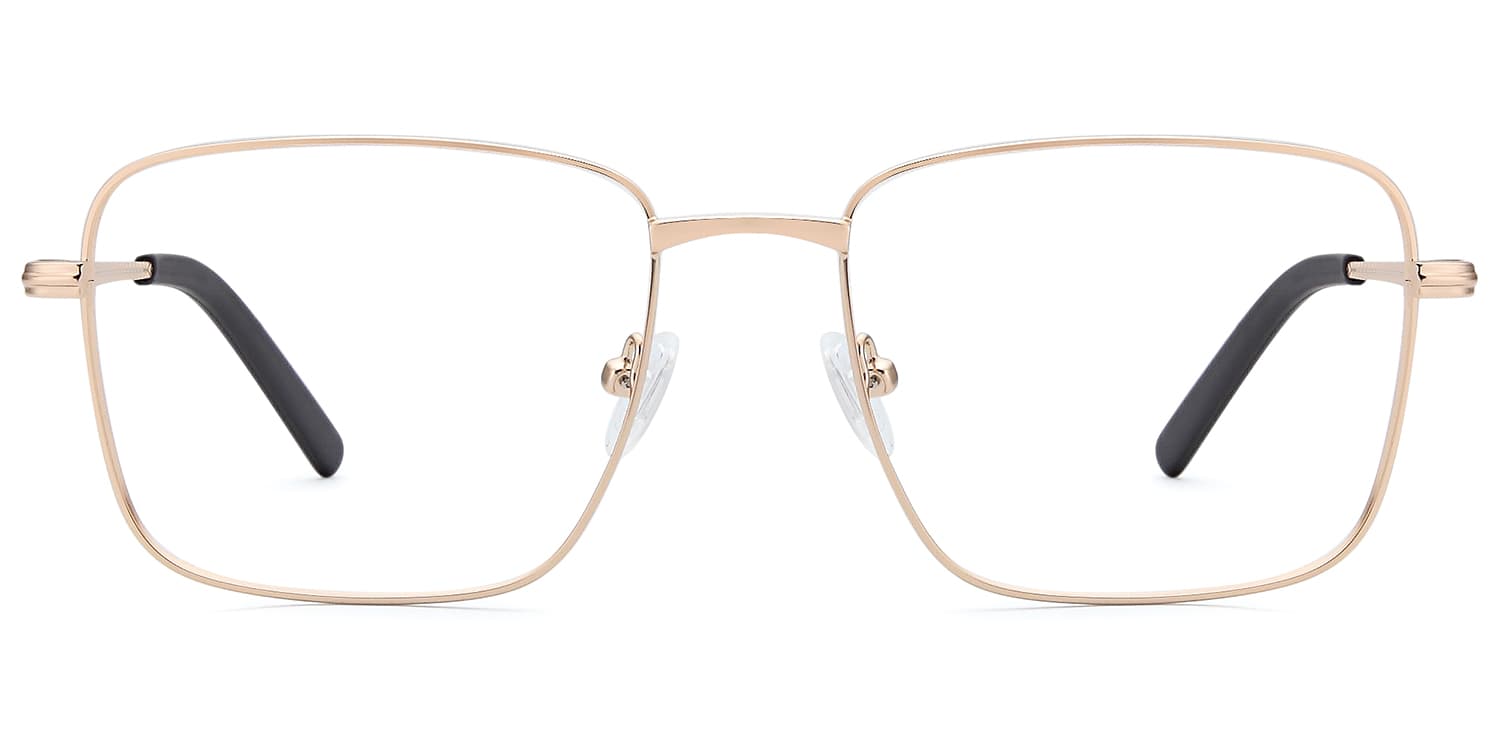 Frame front view