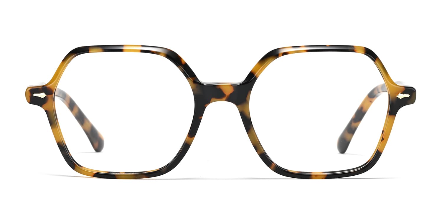 Frame front view