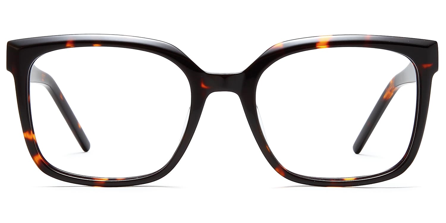 Frame front view