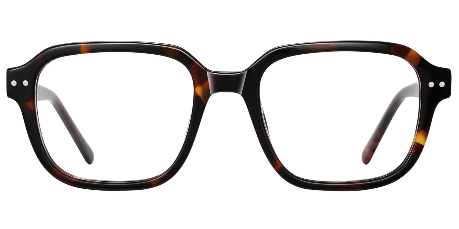 Frame front view