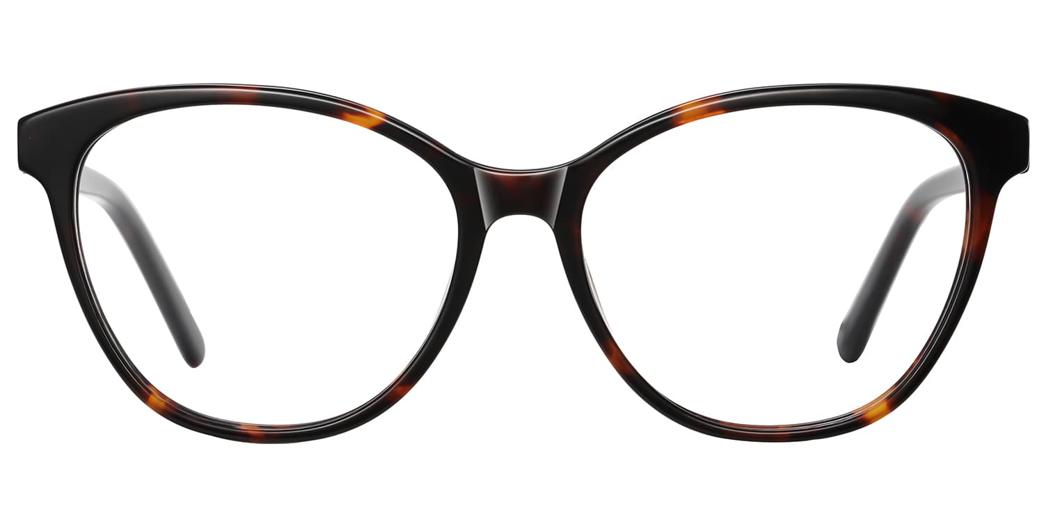 Frame front view