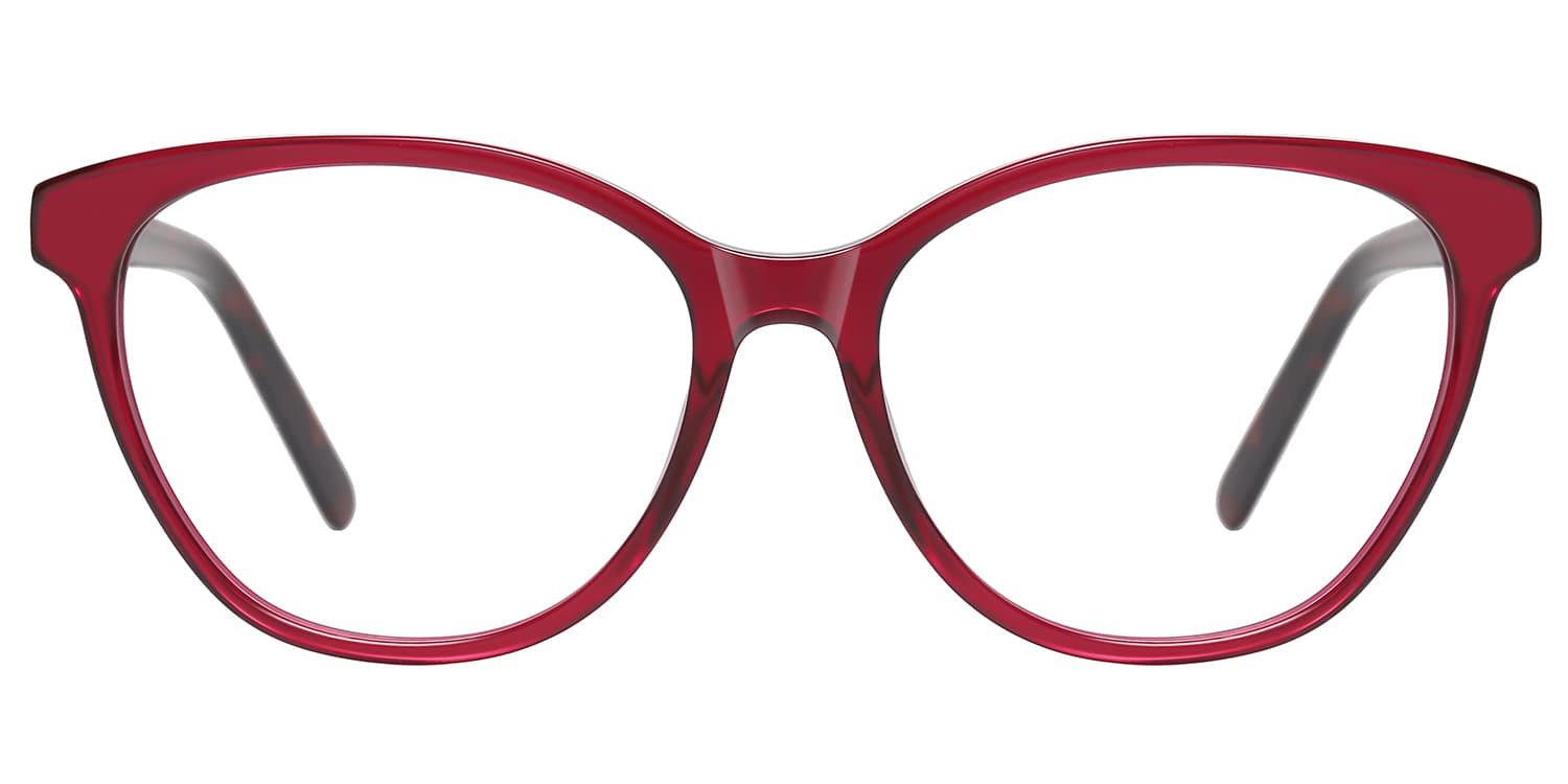 Frame front view