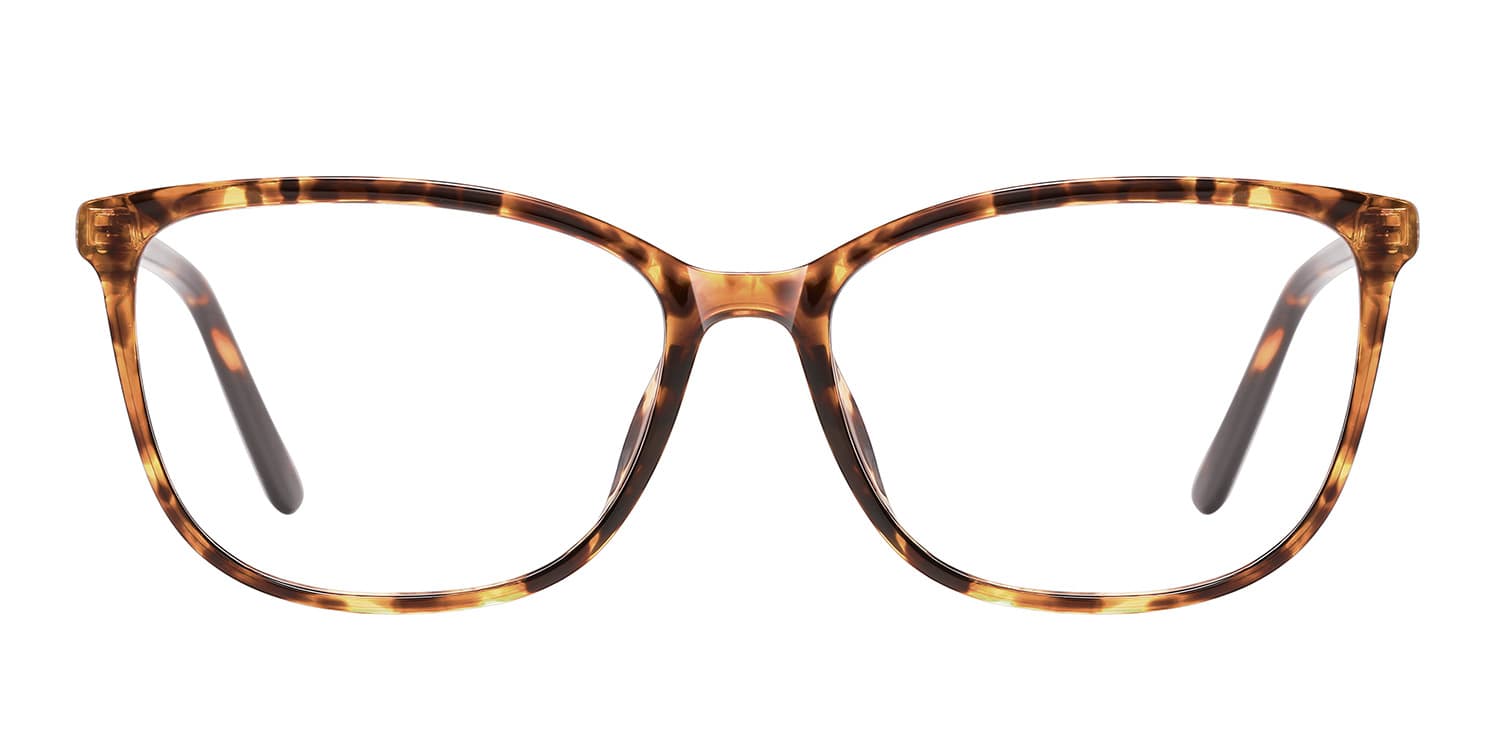 Frame front view