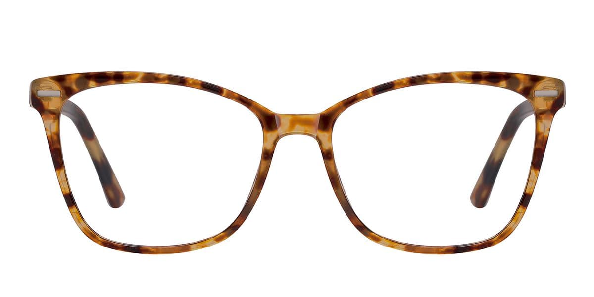 Frame front view