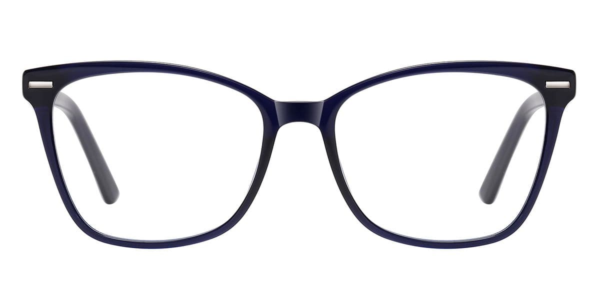 Frame front view