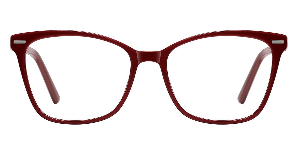 Frame front view