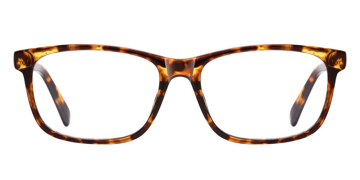 Frame front view