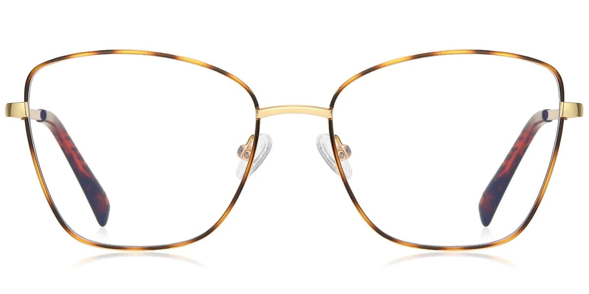 Frame front view