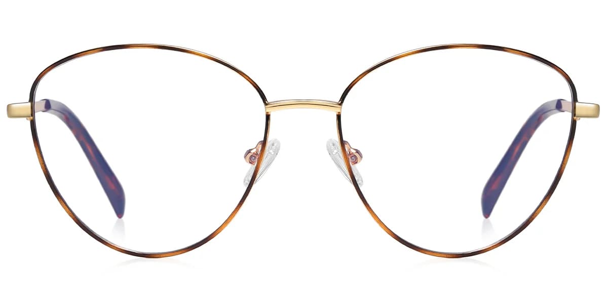 Frame front view