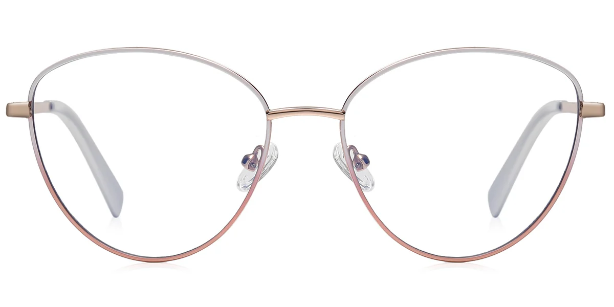 Frame front view