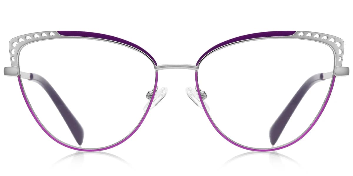 Frame front view