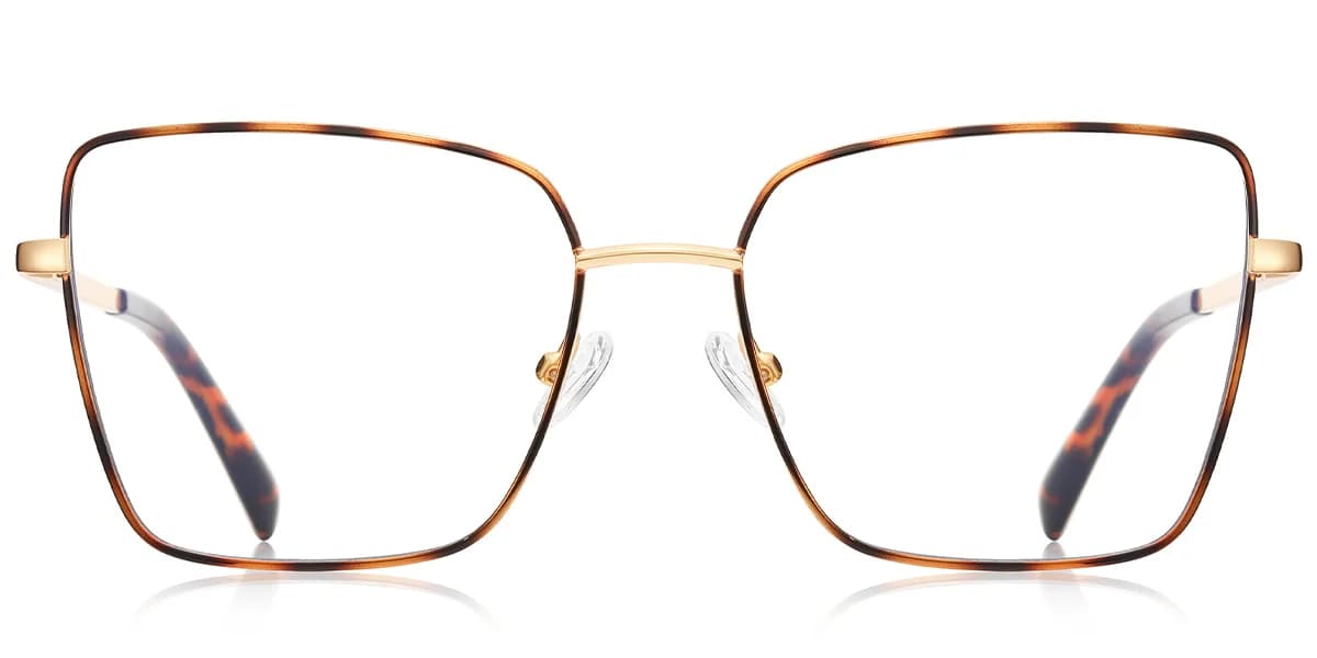 Frame front view