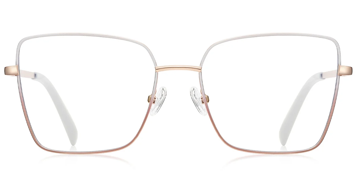 Frame front view