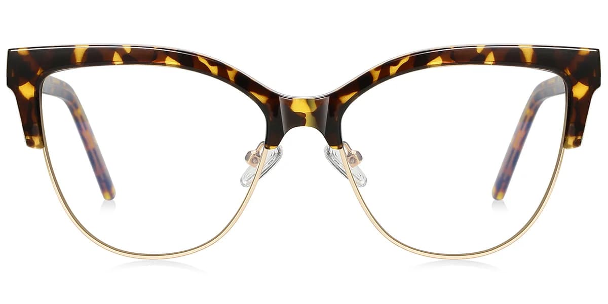 Frame front view