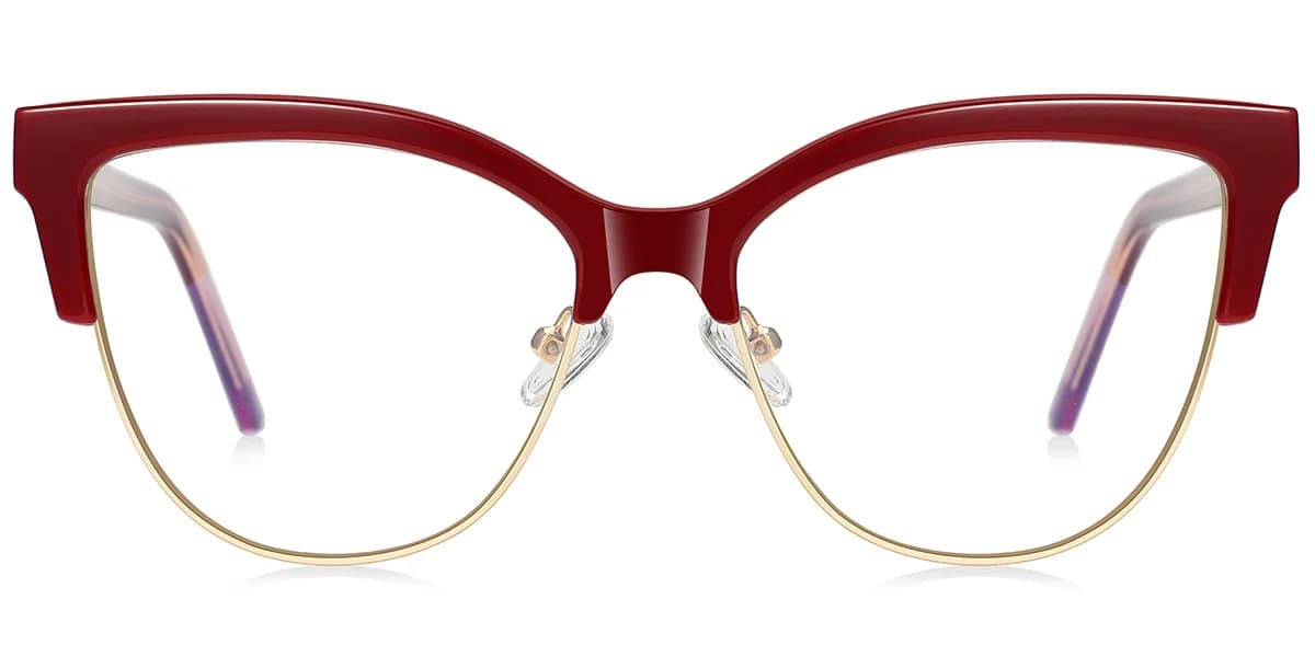 Frame front view
