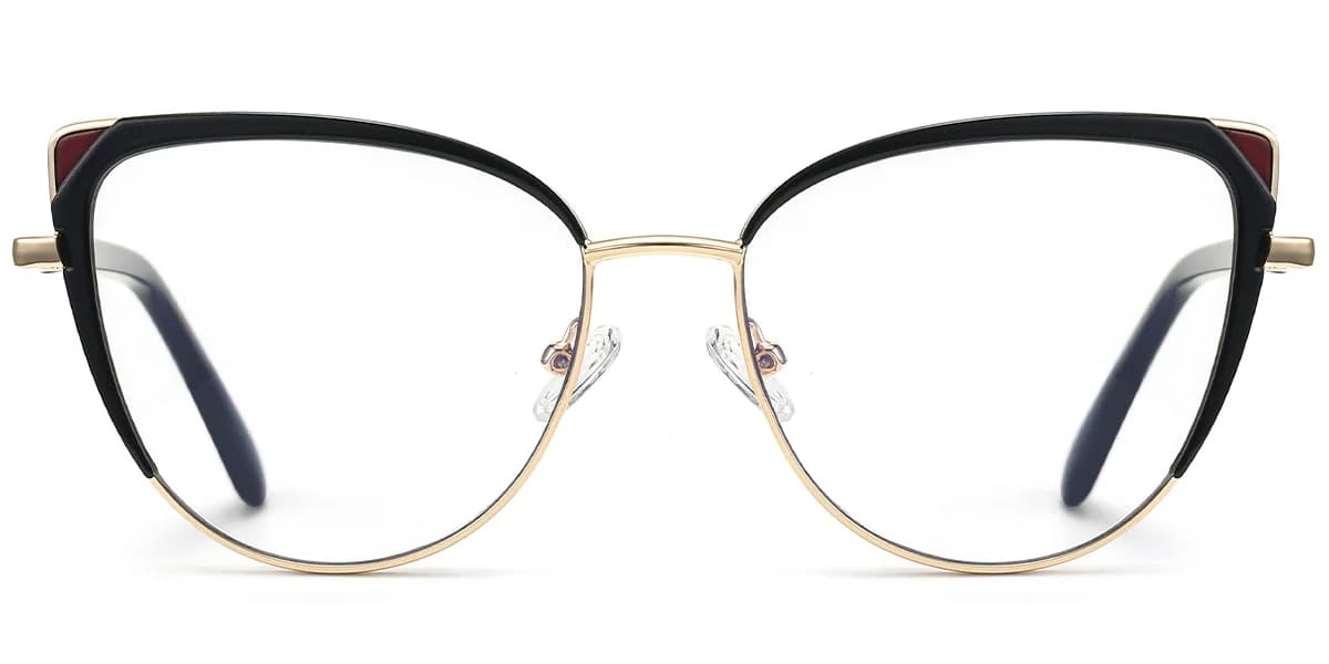 Frame front view
