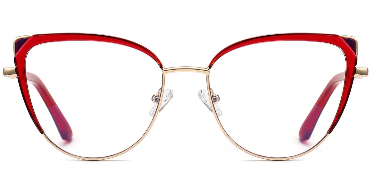 Frame front view