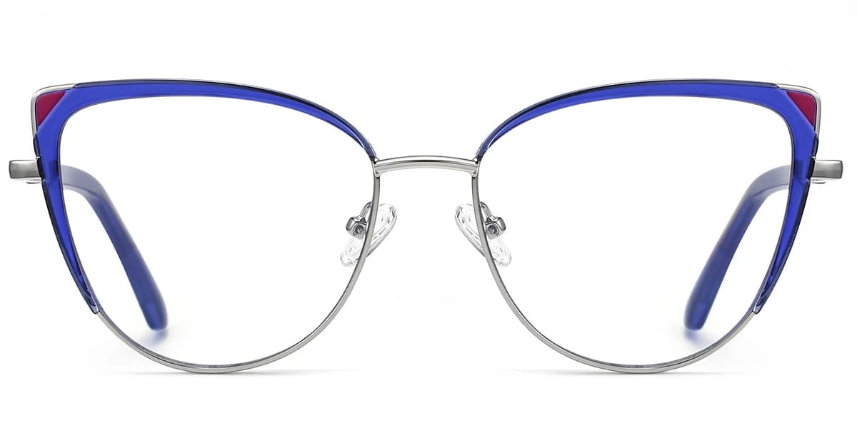 Frame front view