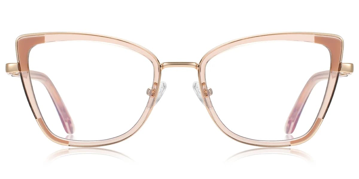 Frame front view