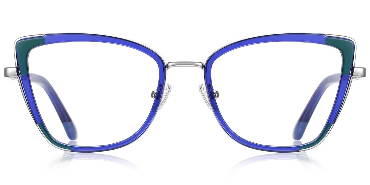 Frame front view