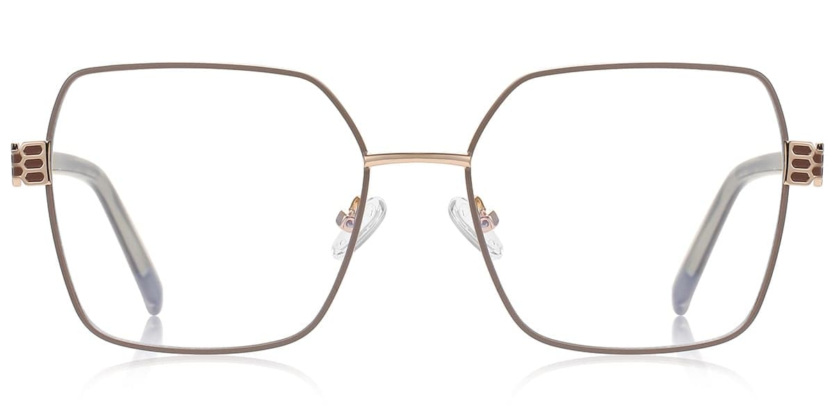 Frame front view