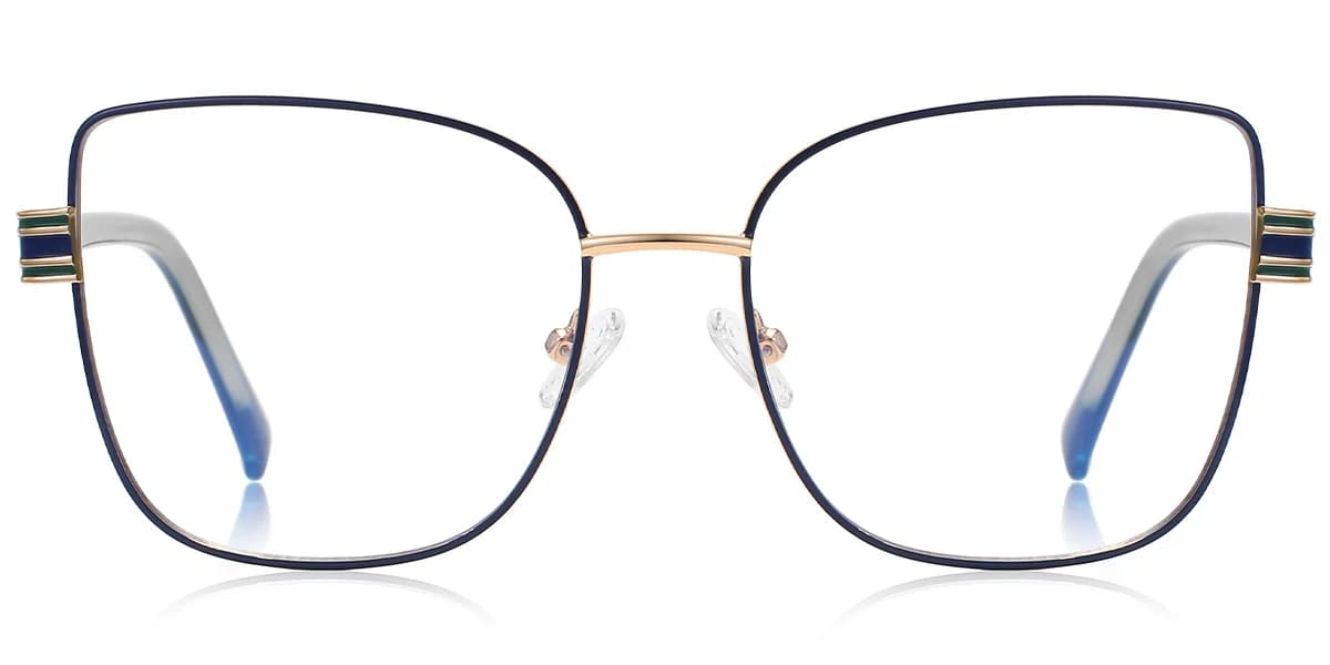 Frame front view