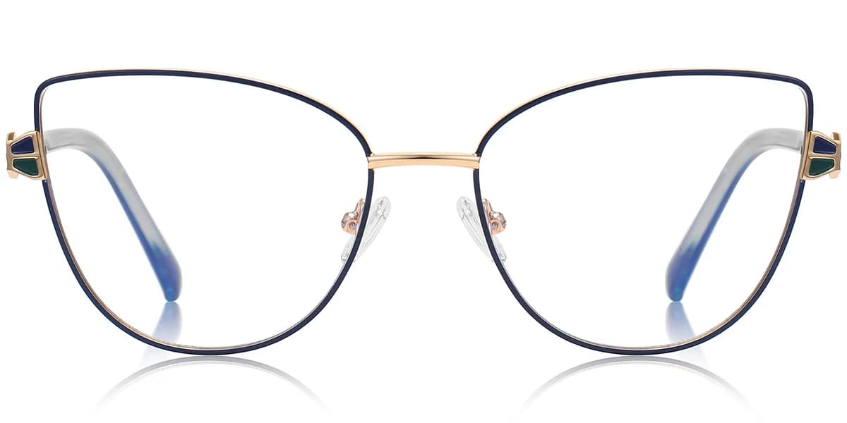 Frame front view
