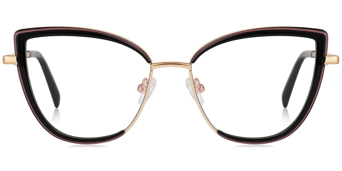 Frame front view