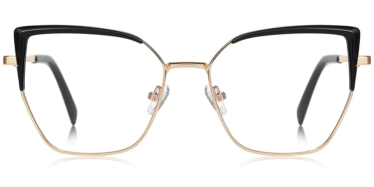 Frame front view