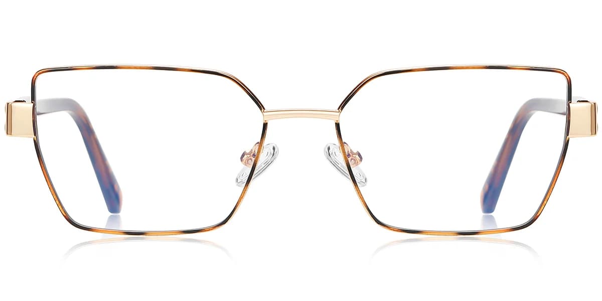 Frame front view