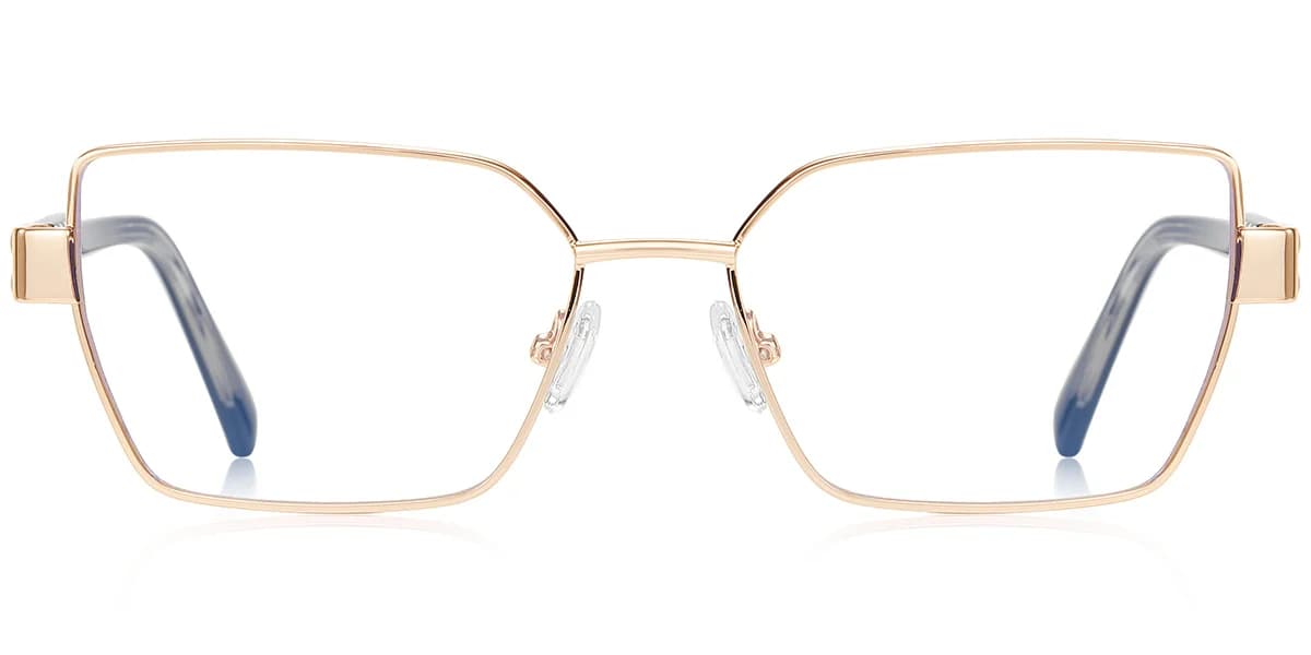 Frame front view