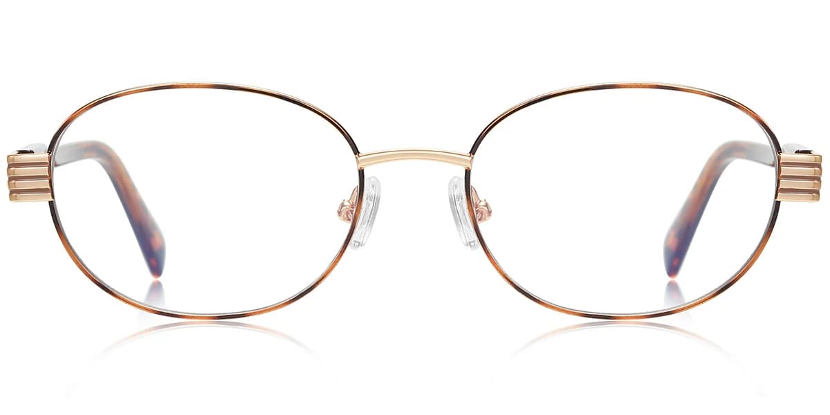 Frame front view