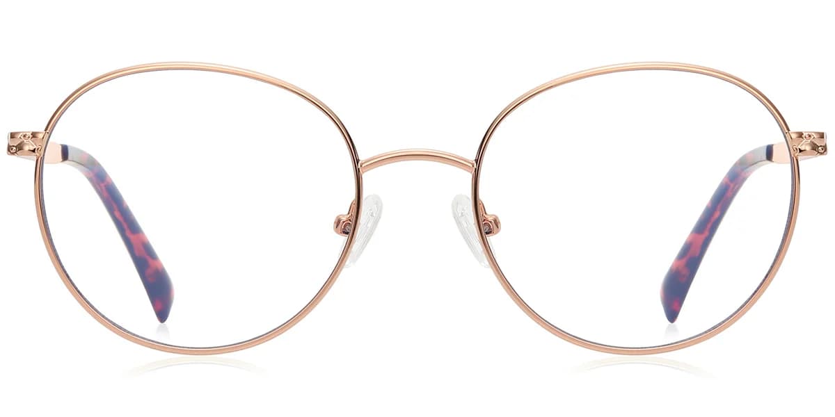 Frame front view