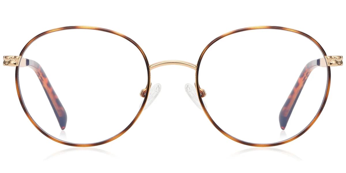 Frame front view