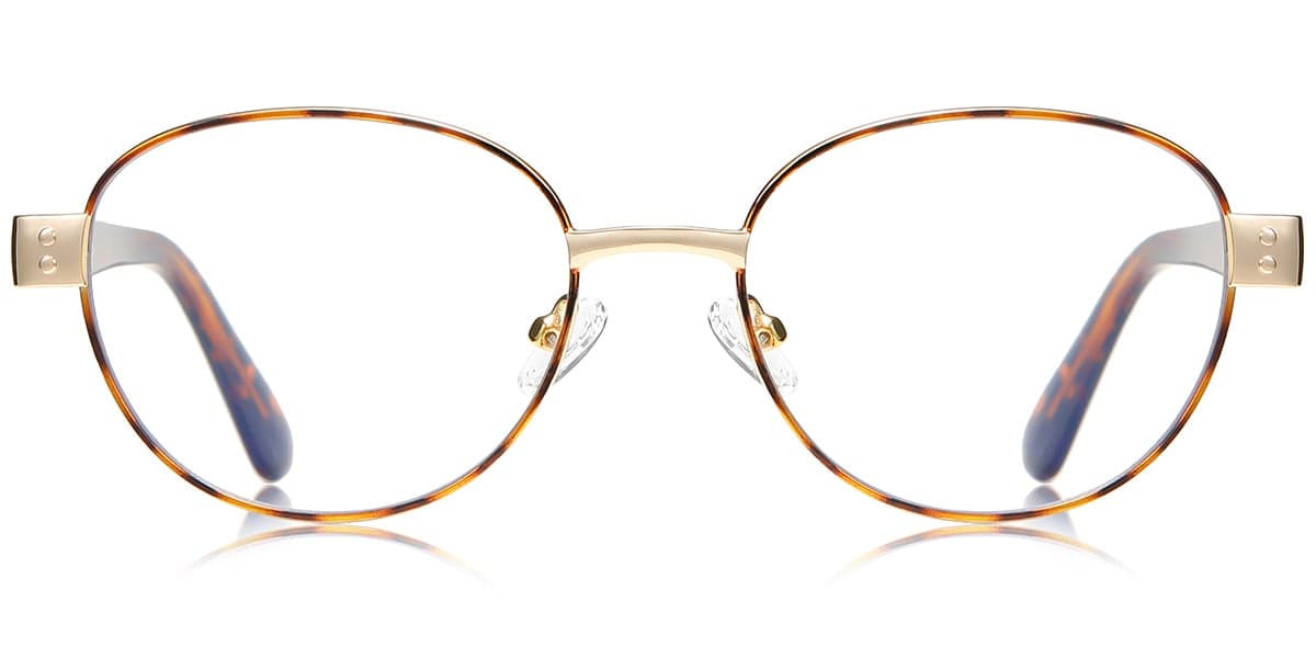 Frame front view