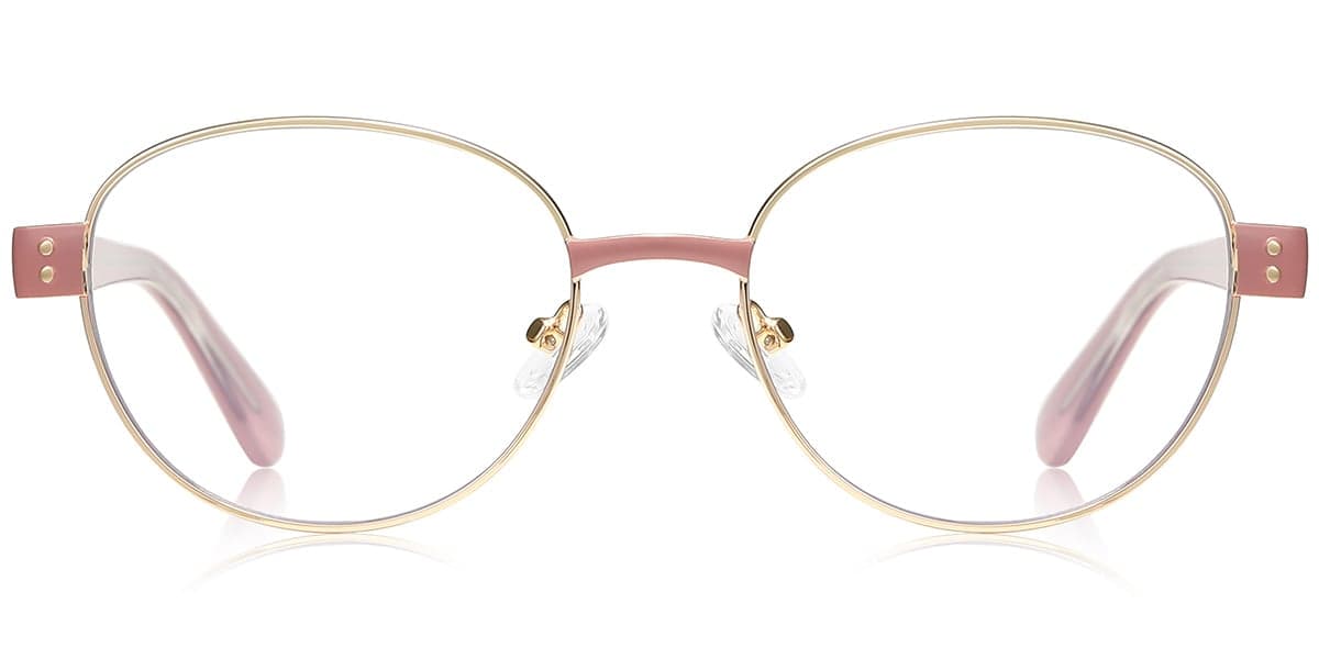 Frame front view