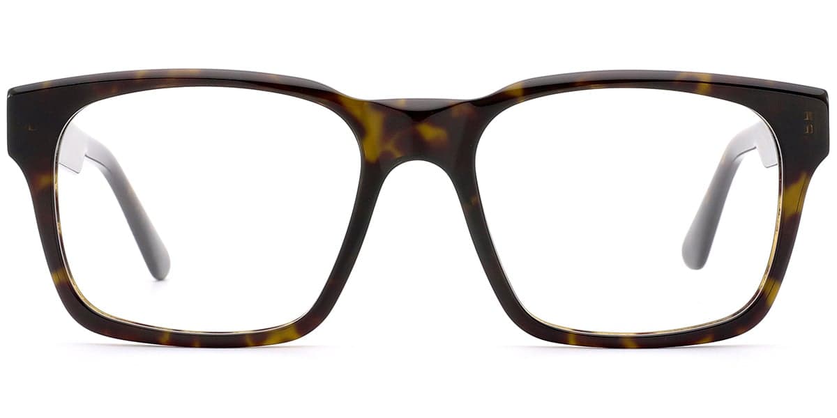 Frame front view