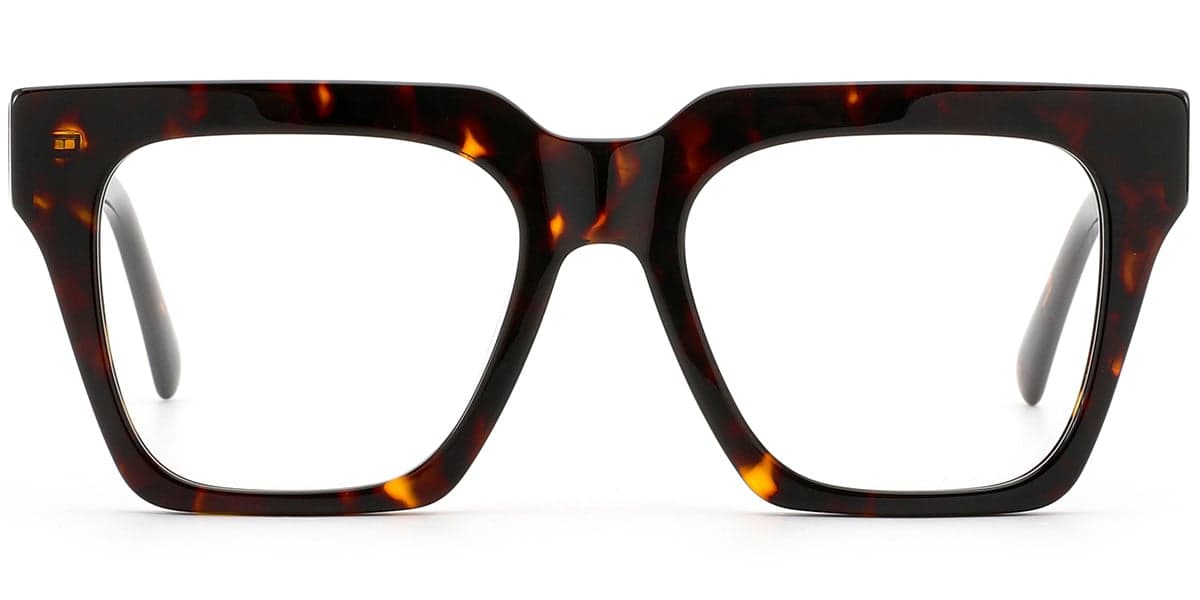 Frame front view