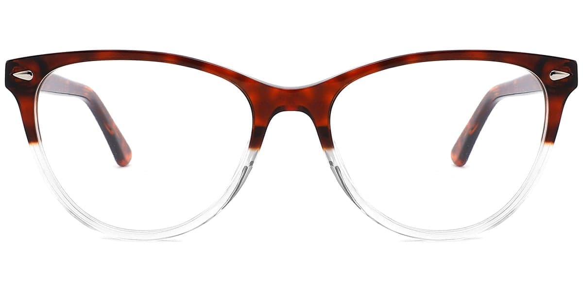 Frame front view